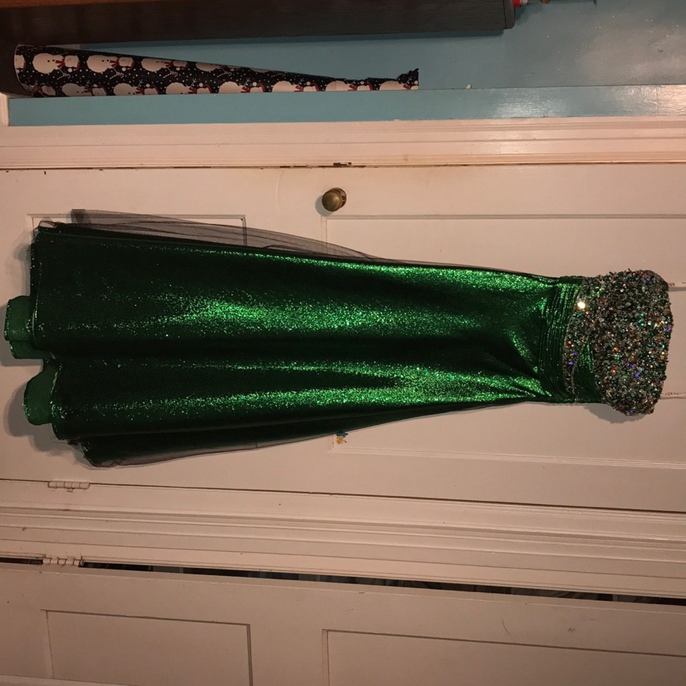 Pageant/Prom dress - Picture 3 of 4